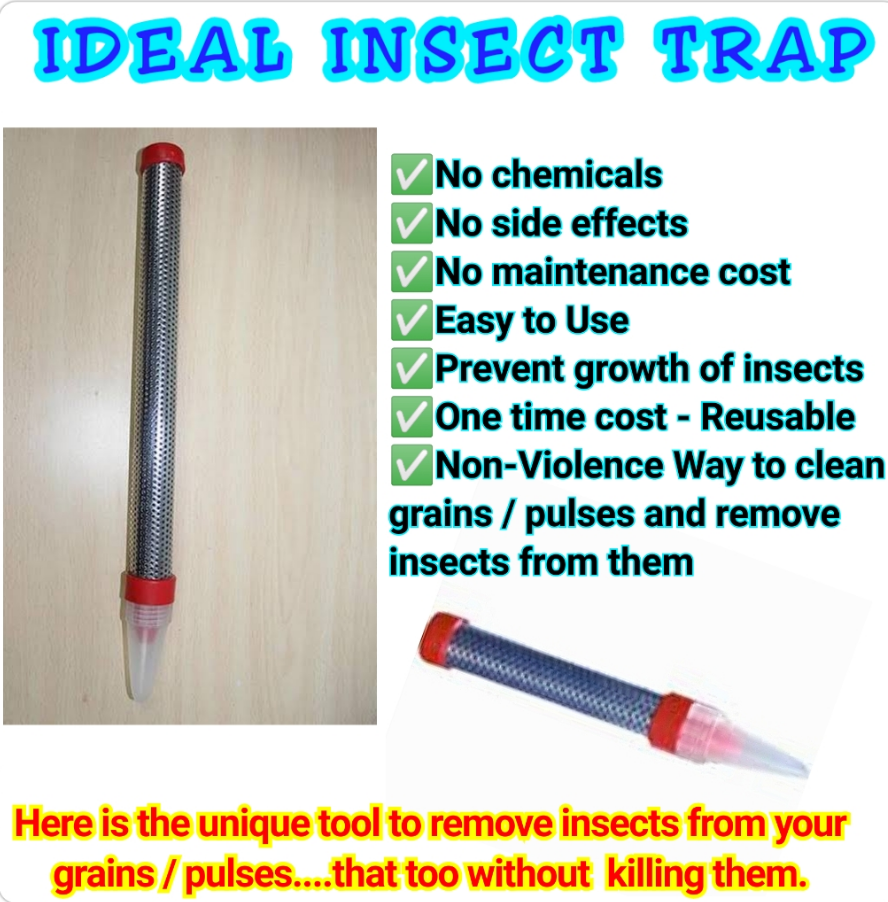 Ideal Insect Trap Pack of 3